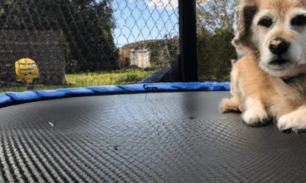 5 Ways AI Can Help Content Creators