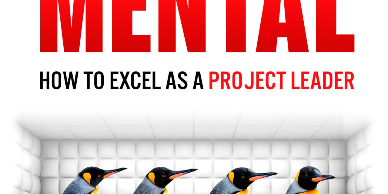 Book Award Winner: Leadership is Mental: How to Excel as a Project Leader