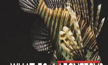 Member of the Week: Latrece Johnson, author of What Is A Lionfish?